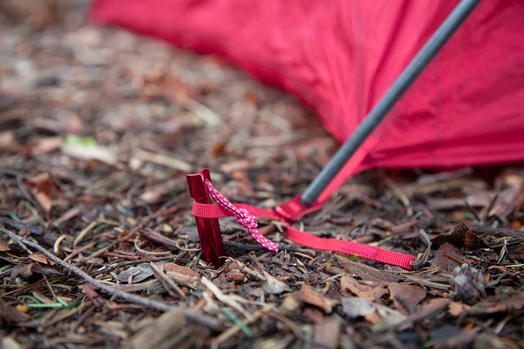 MSR Groundhog at Stake Out Point of Tent